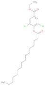 Benzoic acid, 3,5-dichloro-4-[(1-oxohexadecyl)oxy]-, ethyl ester
