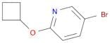5-Bromo-2-cyclobutoxypyridine