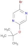 2-Bromo-5-(tert-butoxy)pyrazine