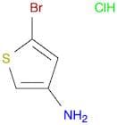 5-Bromothiophen-3-amine hydrochloride
