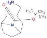 N-BOC-3-AMINOMETHYL-8-AZABICYCLO[3.2.1]OCTANE