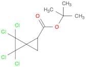 Spiro[2.2]pentane-1-carboxylic acid, 4,4,5,5-tetrachloro-, 1,1-dimethylethyl ester