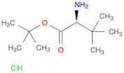 H-Tle-OtBu HCl