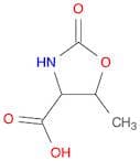 5-methyl-2-oxo-1,3-oxazolidine-4-carboxylic acid