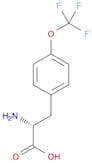 D-Tyrosine, O-(trifluoromethyl)-