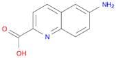 6-aminoquinoline-2-carboxylic acid