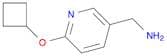 3-Pyridinemethanamine, 6-(cyclobutyloxy)-