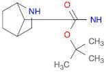 tert-Butyl 2-azabicyclo[2.2.1]heptan-7-ylcarbamate