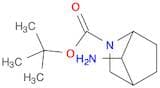 2-Azabicyclo[2.2.1]heptane-2-carboxylic acid, 7-amino-, 1,1-dimethylethyl ester