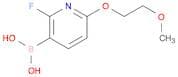 2-Fluoro-6-(2-methoxyethoxy)pyridine-3-boronic acid