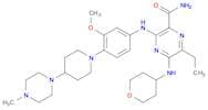 2-Pyrazinecarboxamide, 6-ethyl-3-[[3-methoxy-4-[4-(4-methyl-1-piperazinyl)-1-piperidinyl]phenyl]am…