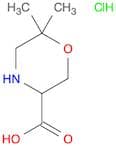 3-Morpholinecarboxylic acid, 6,6-dimethyl-, hydrochloride (1:1)