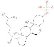 Cholesterol sulfate
