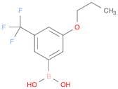 Boronic acid, B-[3-propoxy-5-(trifluoromethyl)phenyl]-