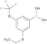 3-Ethoxy-5-(trifluoromethoxy)phenylboronic acid