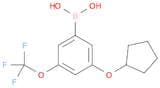 3-(Cyclopentyloxy)-5-(trifluoromethoxy)phenylboronic acid