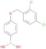 4-(2,4-Dichlorophenylmethoxy)phenylboronic acid