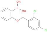 2-(2,4-dichlorophenylmethoxy)phenylboronic acid