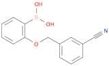 2-(3-Cyanophenylmethoxy)phenylboronic acid