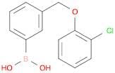 3-(2-Chlorophenoxymethyl)phenylboronic acid