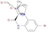 2-Azabicyclo[2.2.1]heptane-2-carboxylic acid, 3-[[(2-amino-4-bromophenyl)amino]carbonyl]-, 1,1-dim…