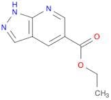 1H-Pyrazolo[3,4-b]pyridine-5-carboxylic acid, ethyl ester