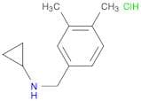 N-cyclopropyl 3,4-dimethylbenzylamine HCl