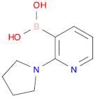 2-(Pyrrolidin-1-yl)pyridine-3-boronic acid