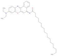 Octadecanamide, N-[9-(diethylamino)-5H-benzo[a]phenoxazin-5-ylidene]-