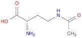 (2S)-4-(Acetylamino)-2-aminobutanoic acid