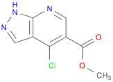 Methyl 4-chloro-1H-pyrazolo[3,4-b]pyridine-5-carboxylate