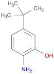 2-Amino-5-tert-butylphenol