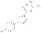 tert-Butyl 3-(4-bromophenyl)-1H-pyrazole-1-carboxylate