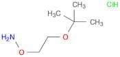 O-(2-tert-Butoxyethyl)hydroxylamine hydrochloride