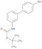 Carbamic acid, N-(4'-hydroxy[1,1'-biphenyl]-3-yl)-, 1,1-dimethylethyl ester