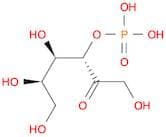 (3S,4R,5R)-1,4,5,6-Tetrahydroxy-2-oxohexan-3-yl dihydrogen phosphate