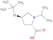 (2S,4R)-4-TERT-BUTOXY-1-ISOPROPYLPROLINE