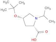 (2S,4S)-4-TERT-BUTOXY-1-ISOPROPYL-PROLINE
