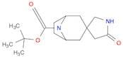 tert-Butyl 5'-oxo-8-azaspiro[bicyclo[3.2.1]octane-3,3'-pyrrolidine]-8-carboxylate