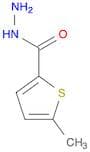 5-Methylthiophene-2-carbohydrazide
