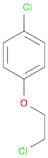 Benzene, 1-chloro-4-(2-chloroethoxy)-