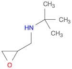 2-Methyl-n-((oxiran-2-yl)methyl)propan-2-amine