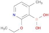 2-Ethoxy-4-methylpyridine-3-boronic acid