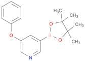 5-Phenoxy-3-pyridyl boronic acid pinacol ester