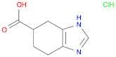 1H-Benzimidazole-6-carboxylic acid, 4,5,6,7-tetrahydro-, hydrochloride (1:1)