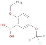 (2-Ethoxy-5-(trifluoromethoxy)phenyl)boronic acid