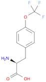 (2S)-2-Amino-3-[4-(trifluoromethoxy)phenyl]propanoic acid