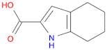 1H-Indole-2-carboxylic acid, 4,5,6,7-tetrahydro-