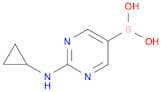 2-(Cyclopropylamino)pyrimidine-5-boronic acid