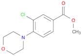 Methyl 3-chloro-4-morpholinobenzoate